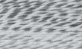 Wendy Husky Super Chunky 100 G | Wingora | Multiple Colours available